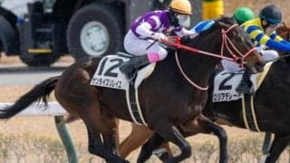 意外にも今年ここまでJRA重賞未勝利 関西の名門厩舎がレパードSで連敗ストップ狙う
