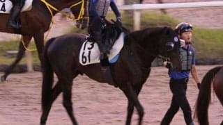 ディープモンスター、小倉記念1週前追い切り速報/栗東トレセンニュース