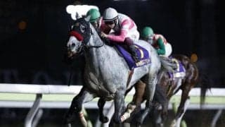 リュウノユキナがアロースタッドで種牡馬入り ダート短距離路線で重賞3勝