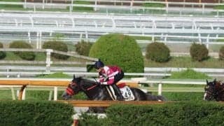 コスタボニータ、小倉記念1週前追い切り速報/栗東トレセンニュース