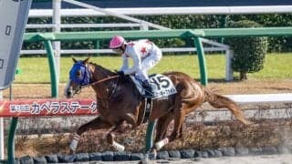 【レパードS出走馬・騎手確定】ミッキーファイト＆戸崎圭太騎手、ソニックスター＆川田将雅騎手など15頭