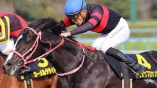 矢作厩舎の“4億円馬”が再出発 自己条件で飛躍のきっかけつかむか