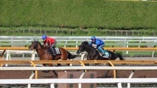 【JRA新馬戦】重賞3勝馬の仔レイナデアルシーラや良血馬ジェゼロなどが初陣