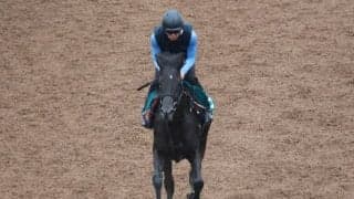 金子真人オーナーの「史上最高価格」3億円馬 初陣で期待通りの勝ちっぷり見せるか