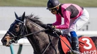 名牝系出身“友道厩舎の秘密兵器” 秋の大舞台へ向け負けられない戦い