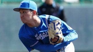 日ハムドラ2右腕が引退決断　野球から離れ「新しい挑戦」…昨季戦力外で独立L入り