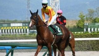 【エルムS枠順確定】ミトノオーは5枠7番、ドゥラエレーデは6枠10番