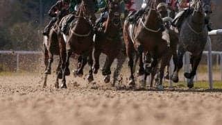 【エルムS／データ攻略】ミトノオーとナチュラルハイの「買い or 消し」　“勝率75％”該当馬に鉄板級ジャッジ