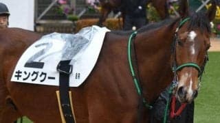 キタサンブラック半弟が初の千直参戦 藤田菜七子騎手を背に1年4カ月ぶりVへ