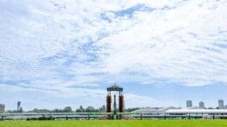 パリ2024オリンピックで話題の“馬術”を間近で見よう！ 札幌競馬場で今週末にホースショー