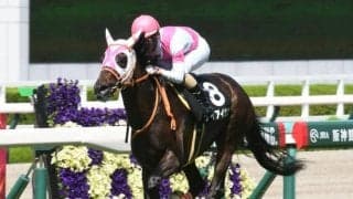 新潟芝は高速決着 ケイアイセナが前々から粘り込む