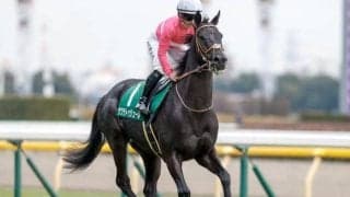 【関屋記念想定馬・騎手】サクラトゥジュール、トゥードジボンなど18頭