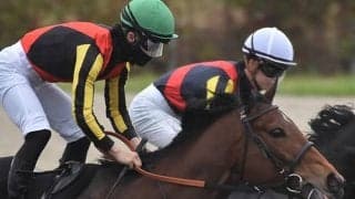 母は米最優秀2歳牝馬の良血 柳都Sで1年ぶりの実戦