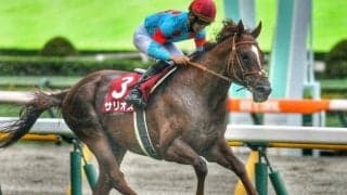 半兄は朝日杯FS覇者のサリオス サリーチェがルメール騎手でデビューV狙う