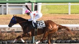 レパードＳで期待度が高い２頭は？　「新潟・ダート1800ｍ」の勝率が高い種牡馬からピックアップ