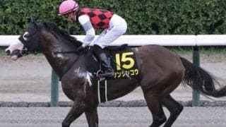 4年前は“謙信公”が新潟で重賞制覇 成績の良い戦国武将の名が付いた馬は？