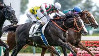 「エアグルーヴ2×3」を持つスワーヴリチャードの甥 単勝103.6倍の低評価覆す/新潟5R結果