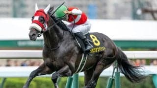 【札幌日経オープン結果】ショウナンバシットが押し切り、約1年5か月ぶりの復活V