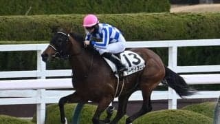 【レパードS予想】経験が結果を左右する!? 前走右回りだった馬や着順、レース格を要チェック