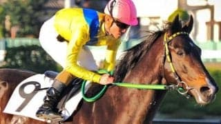 千葉ロッテマリーンズ吉井理人監督の愛馬リジン JRA再転入2連勝狙う