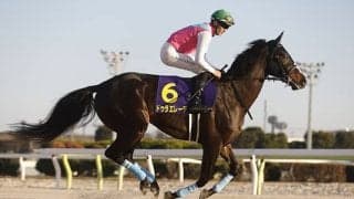 【エルムS予想】「格より調子」の格言がぴったりな一戦!? 前走で大敗している馬の取り扱いには要注意