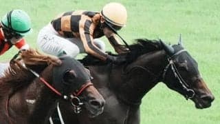 【アイビスSD】国分恭「馬がペース配分してくれた」モズメイメイが重賞3勝目