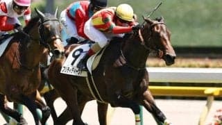 【ダリア賞】キングマン産駒の良血プリティディーヴァがデビュー2連勝なるか