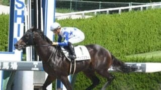 【AI予想・レパードS】波乱傾向の強い3歳限定のダート重賞 本命馬は重賞初挑戦でも能力はヒケ取らず