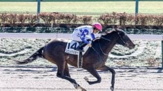 新潟ダートは前有利 ソニックスター＆川田騎手が早めスパートで決める