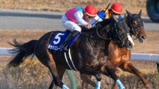 【エルムS前日オッズ】ドゥラエレーデが3.1倍で1番人気