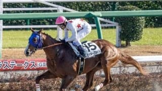 【レパードS前日オッズ】ミッキーファイトが2.2倍で1番人気