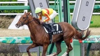 【今日の注目ポイント】札幌でエルムSと新潟でレパードSのダート2重賞