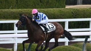 【レパードS予想】出世レースとして名高い一戦 秋の飛躍に向けて3歳砂巧者が集う