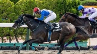 【エルムS予想】真夏のダート王者決定戦 過去10年で7勝誇るマリーンS組が優勢か