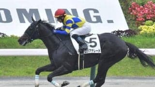 新潟ダートは前々が鉄則 先行してしぶといロジアデレードが穴だ