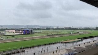 どうなってるんだ競馬界…道交法違反、傷害、金銭トラブル、セクハラなど不祥事が止まらない