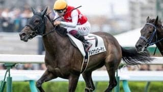 【札幌5R新馬戦結果】ハービンジャー産駒アルマヴェローチェが逃げ切りV