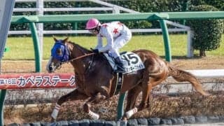 【レパードS・馬体重】ミッキーファイトは542kg(+2)、ソニックスターは554kg(+4)