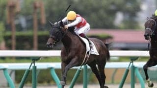 【新馬/札幌5R】ハービンジャー産駒 アルマヴェローチェがデビューV