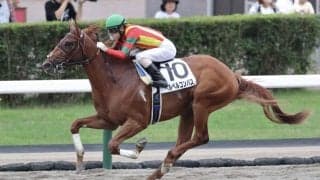 【札幌1R】単勝1.1倍 ベルベルコンパスが5馬身差圧勝