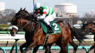 【関屋記念登録馬】パラレルヴィジョンなど19頭