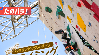 ロサンゼルス大会で初採用！ パラクライミングの世界