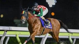 【川崎・スパーキングサマーC枠順】南関東マイル路線の大将格スマイルウィは7枠11番