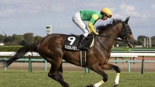 【先週のJRA抹消馬】芝中長距離で活躍の古豪スズカノロッソ、ダート短距離で2勝を挙げたオカリナなど