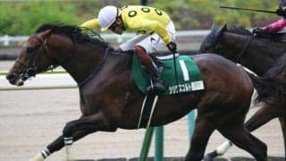 28年ぶり3歳馬Vなるか 前走ラジオNIKKEI賞2着と素質示した期待馬が小倉記念に参戦