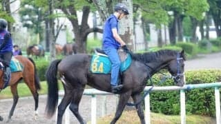 祖母や半姉は重賞を複数勝利 マスクオフの仔マスカレードボール/関東馬メイクデビュー情報
