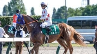 ミッキーファイトがJDCへの切符を獲得 伸びしろを感じられる“優秀な配合構成”とは？