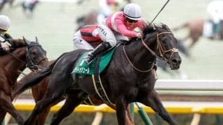 JRAには残りわずか9頭 ネオユニヴァース産駒のエースが関屋記念で重賞連勝狙う