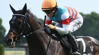 【関屋記念想定騎手】ジュンブロッサムは戸崎圭太騎手、ディスペランツァはM.デムーロ騎手