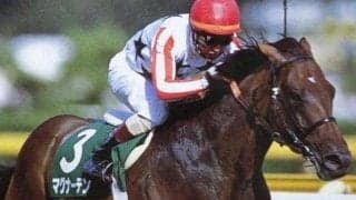 関屋記念連覇のマグナーテンは何位？ セン馬の獲得賞金ランキング